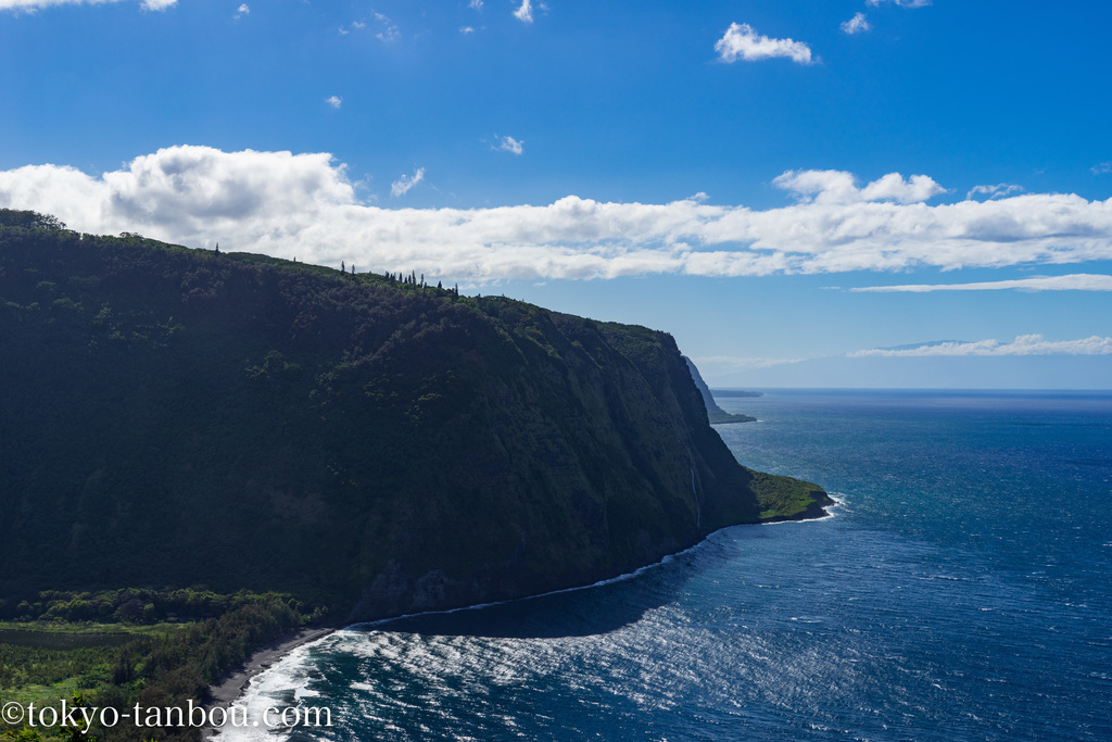 2019年　最新　ハワイ島　絶景写真　フォトジェニック